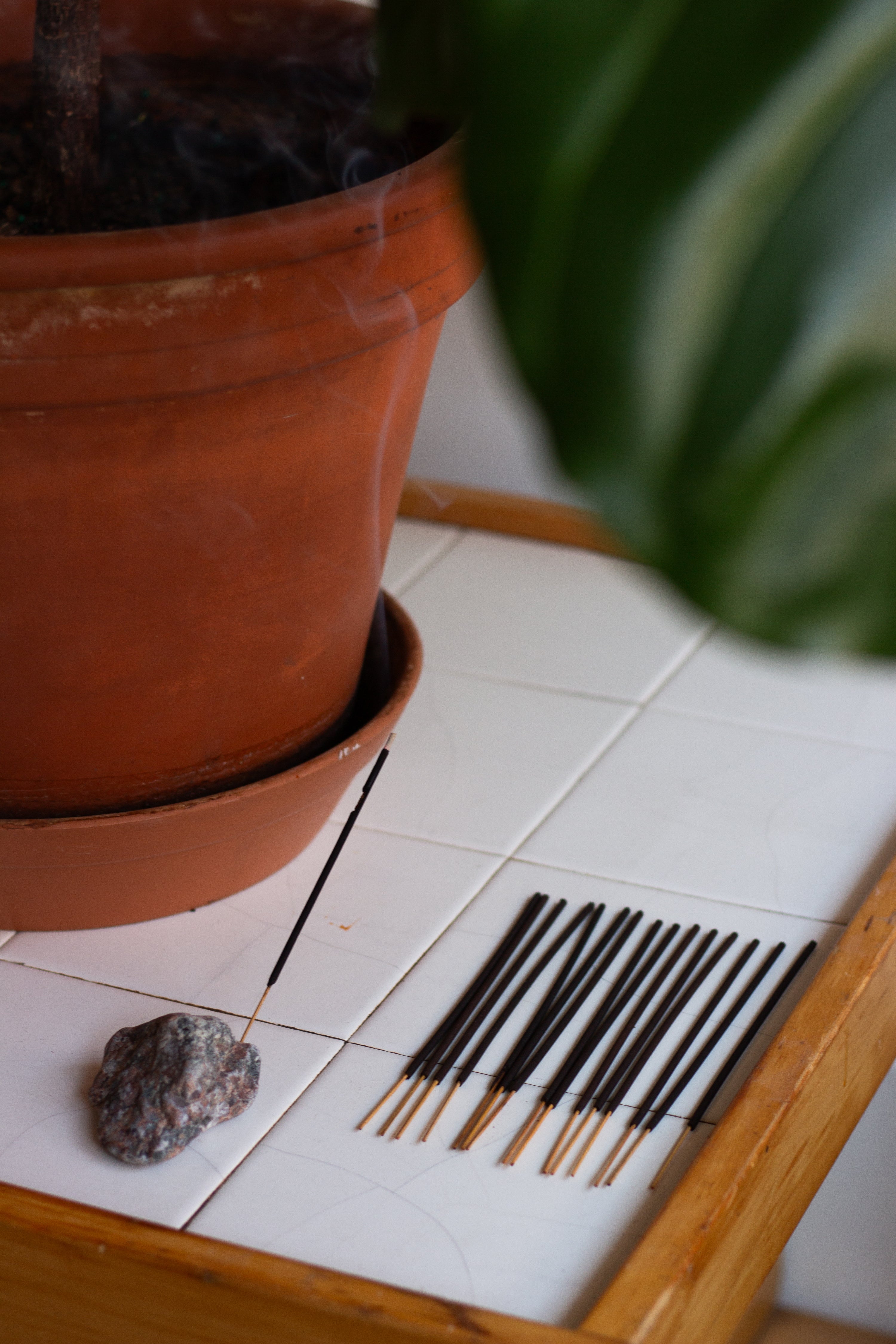 Fragile Glass 'Earthcense' Incense